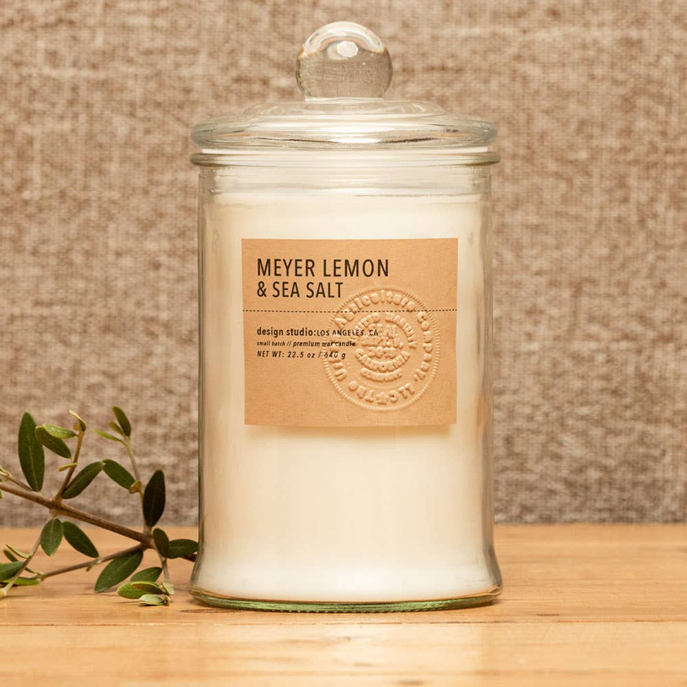 19 oz Meyer Lemon & Sea Salt Scented Candle